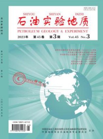 石油实验地质